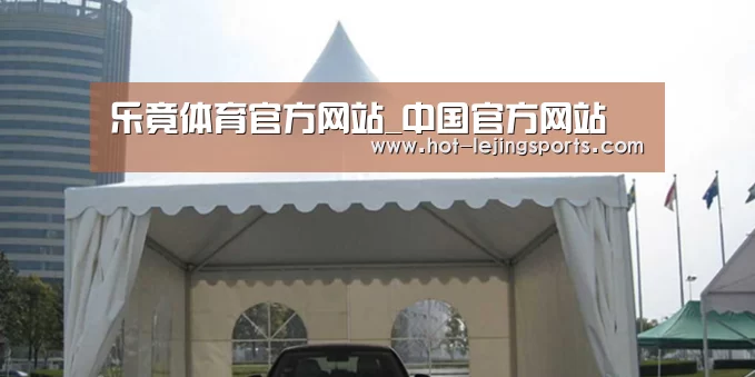 案例标题八