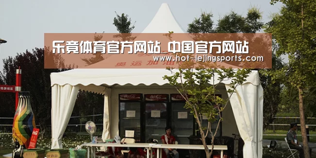 案例标题五