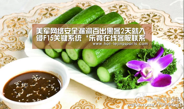 美军网络安全漏洞百出黑客2天就入侵F15关键系统‘乐竟在线客服联系方式’