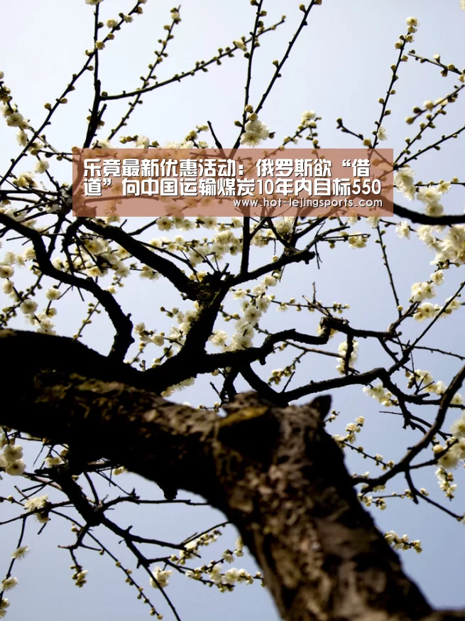 乐竟最新优惠活动:俄罗斯欲“借道”向中国运输煤炭10年内目标5500万吨(图3) 乐竟在线客服联系方式