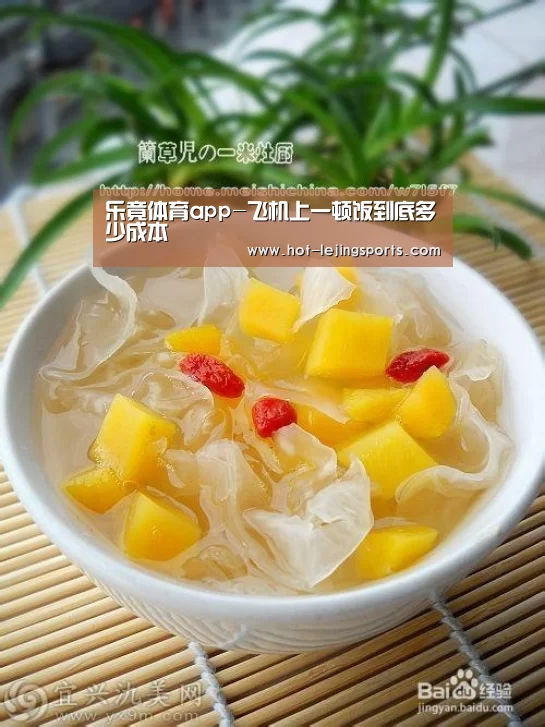 乐竟体育app-飞机上一顿饭到底多少成本