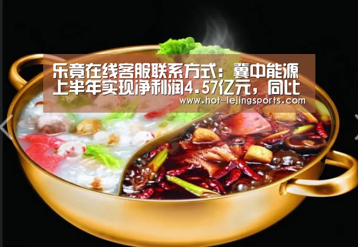 乐竟在线客服联系方式:冀中能源上半年实现净利润4.57亿元,同比减少24.42%(图2) 乐竟在线客服联系方式
