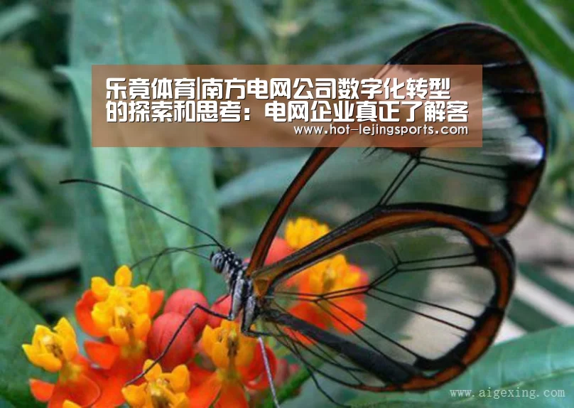 乐竟体育|南方电网公司数字化转型的探索和思考：电网企业真正了解客户吗？
