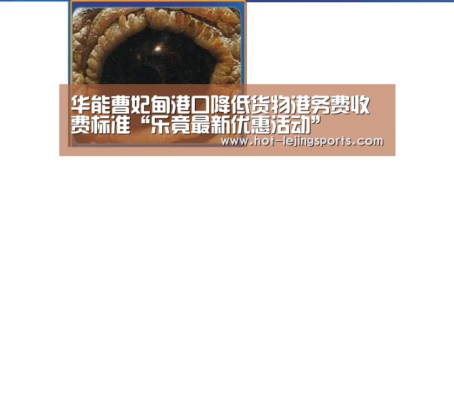 华能曹妃甸港口降低货物港务费收费标准“乐竟最新优惠活动”