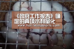 《政府工作报告》确定的两项水利量化指标任务圆满完成|乐竟体育app