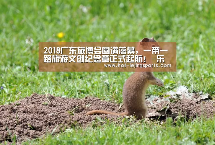 乐竟最新优惠活动
