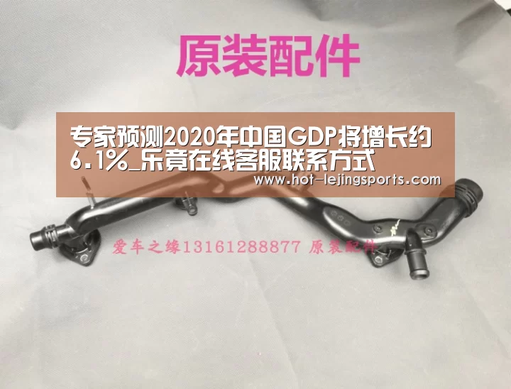 专家预测2020年中国GDP将增长约6.1%_乐竟在线客服联系方式
