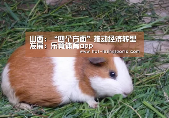 山西:“四个方面”推动经济转型发展:乐竟体育app(图4) 乐竟在线客服联系方式